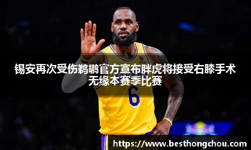 锡安再次受伤鹈鹕官方宣布胖虎将接受右膝手术无缘本赛季比赛